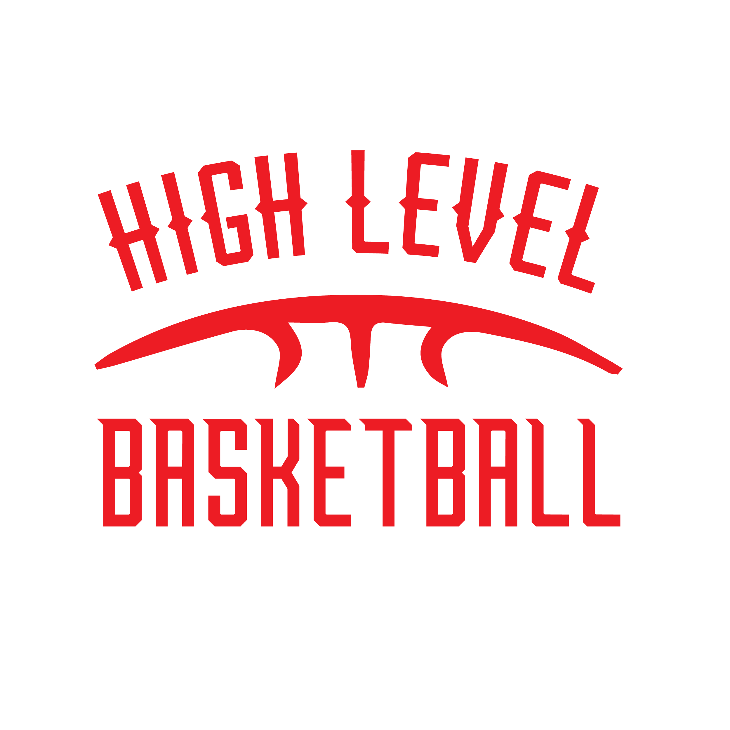 High Level Basketball